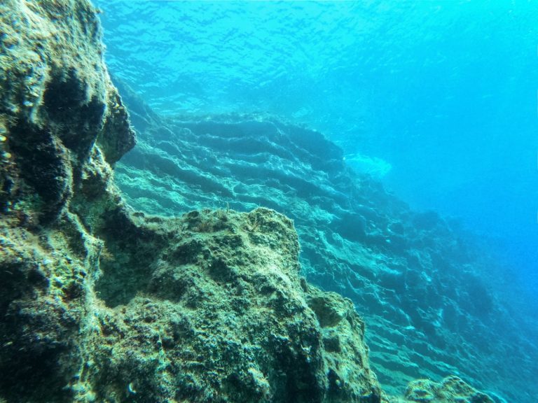 Amphitheatre Dive Site, Pathos, Diving in Cyprus